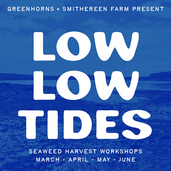 Low Low Tides