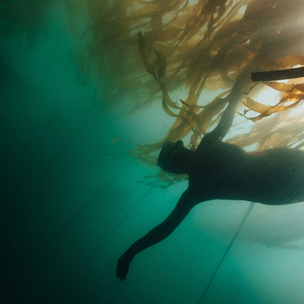Person swimming with seaweed